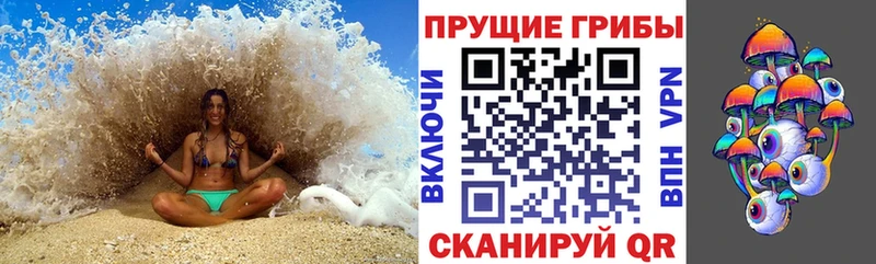 Псилоцибиновые грибы GOLDEN TEACHER  Волжский 